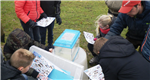 Rapportage Visstandonderzoek Heusdense Gracht 2 en 3